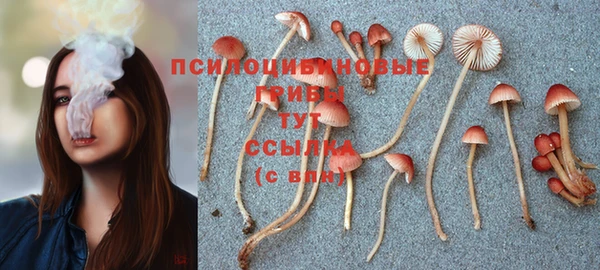 мескалин Бронницы