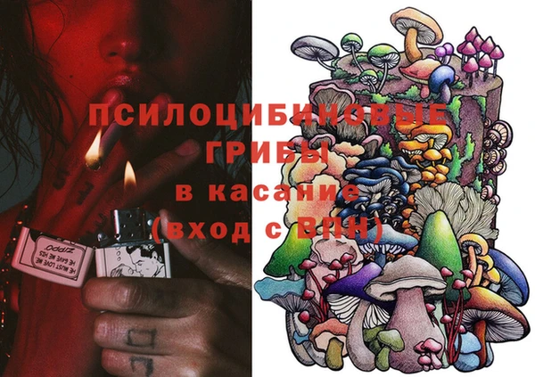mdma Бородино