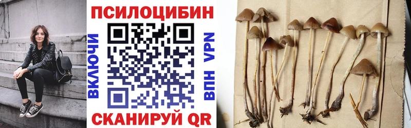 как найти наркотики  Кирово-Чепецк  ссылка на мегу ONION  Галлюциногенные грибы прущие грибы 